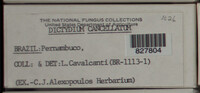 Image Associated With the Occurence